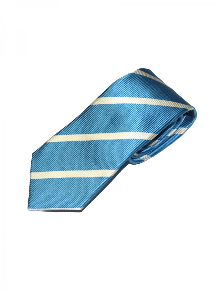 Vibrant Blue and White Striped Tie