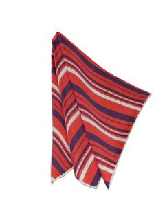 Red and Purple Stripes Pattern Print